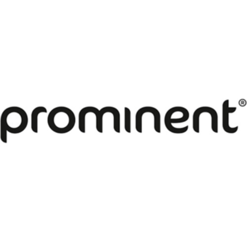 Different Word For Prominent